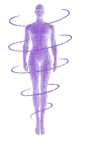 Body measurements diagram